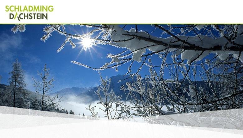 Hotel Vitaler Landauerhof Schladming Luaran gambar